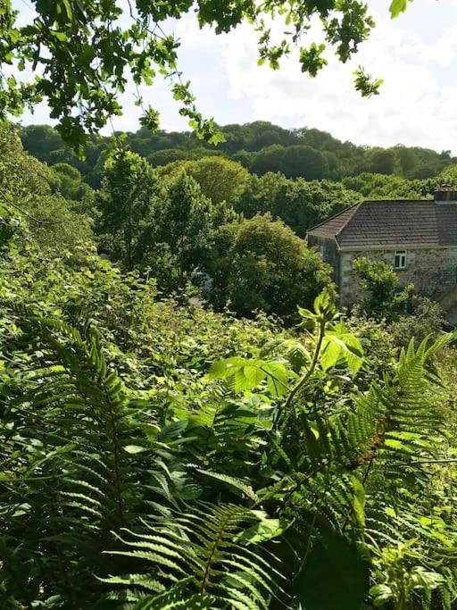 הלסטון Cosy Retreat In Beautiful Cornwall מראה חיצוני תמונה